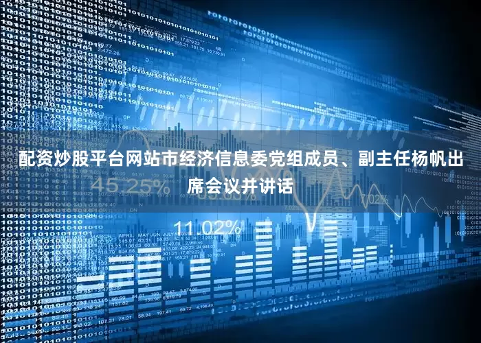 配资炒股平台网站市经济信息委党组成员、副主任杨帆出席会议并讲话
