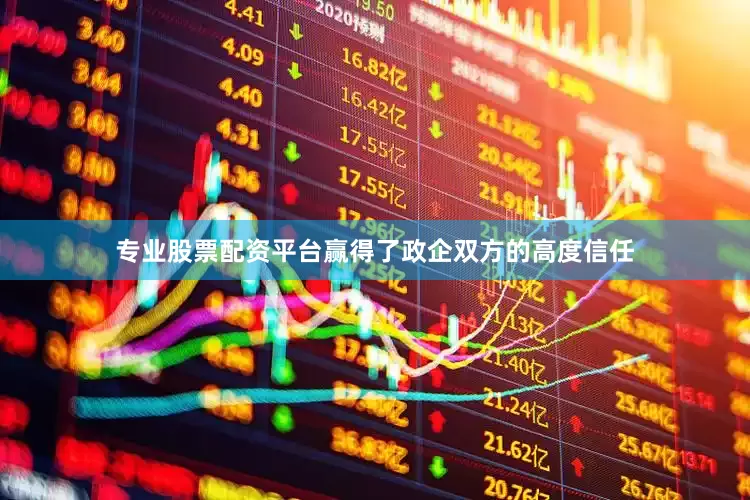 专业股票配资平台赢得了政企双方的高度信任